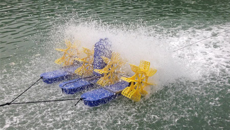 Nguyên lý sục khí của máy sục khí ao cá