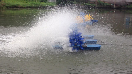 Điều gì quyết định cách bố trí thiết bị sục khí ao cá