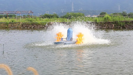 Lựa chọn và lắp đặt máy sục khí ao cá